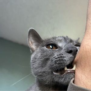 Meet your Posher, Bryan